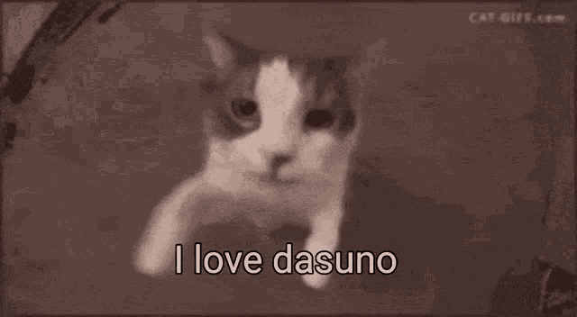 a black and white photo of a cat with the words i love dasuno below it