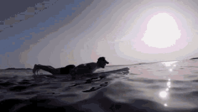 a man laying on a surfboard in the water