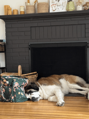 a dog laying under a fireplace next to a basket with flowers on it