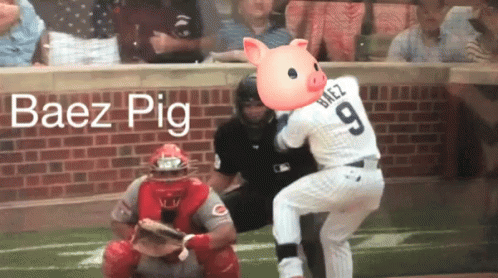 Baez Pig GIF - Baez Pig Strike GIFs