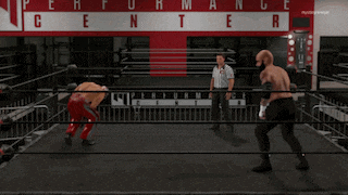 a wrestling match is being played in front of a sign that says genter performance