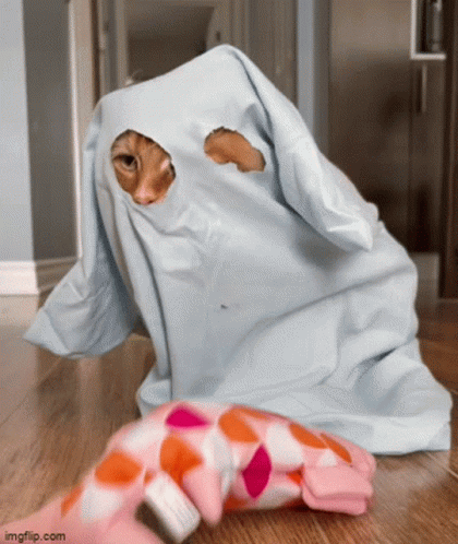 Theoreocat Ghost GIF - Theoreocat Ghost Pudding GIFs