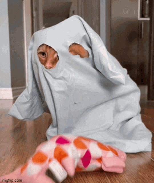 a cat in a ghost costume is playing with a pink flamingo toy
