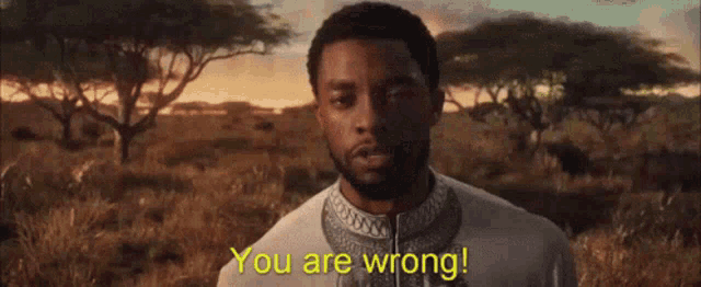 Black Panther You Are Wrong GIF - Black Panther You Are Wrong Tchalla GIFs