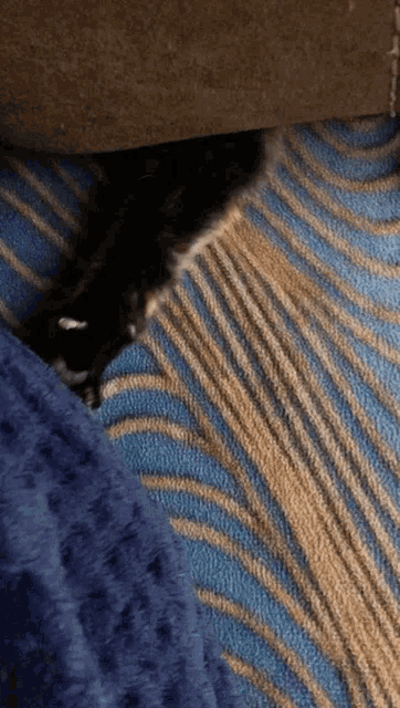 a cat is laying on a striped blanket on the floor