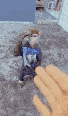 Sniffer Monkey GIF - Sniffer Monkey Funny GIFs