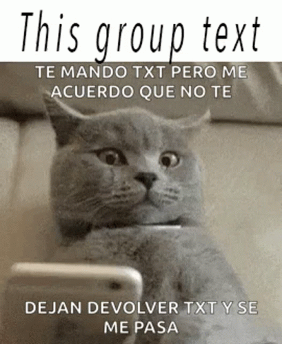 Group Text Cat GIF - Group Text Cat Sad GIFs