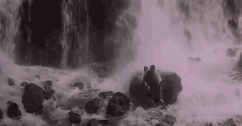 a bear is standing in the middle of a waterfall .
