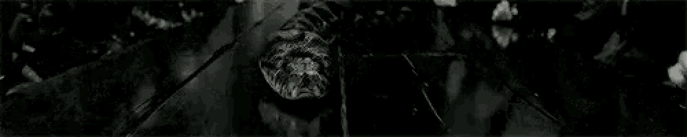a group of people are standing next to each other in a dark room holding swords .