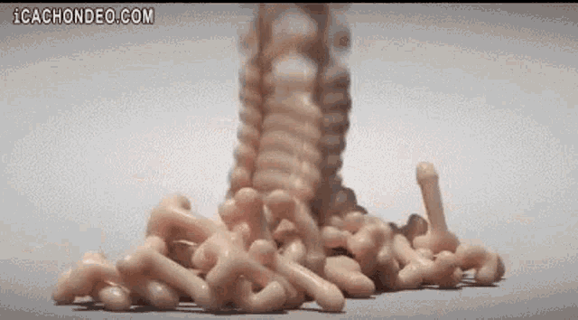 a bunch of penises are stacked on top of each other