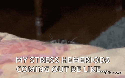 a spider is crawling on a person 's arm and says my stress hemeroids coming out be like .