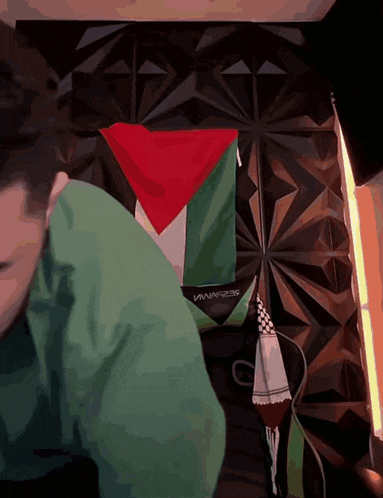 a man in a green shirt stands in front of a wall with a flag on it that says ' israel ' on it