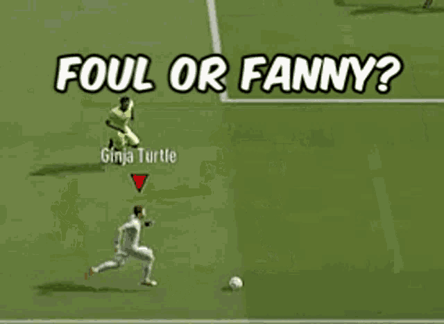 a soccer game with the words foul or fanny
