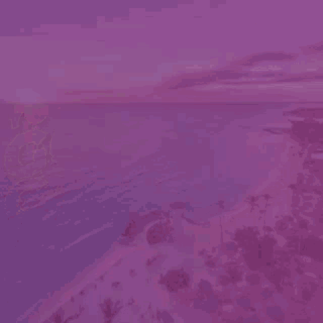 a man with his arms crossed stands in front of a purple background that says pld
