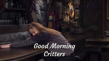 a woman leaning on a bar counter with the words good morning critters written below her
