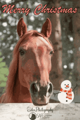 a merry christmas card with a horse and snowman