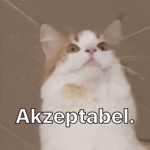 a cat with the word akzeptabel written above it