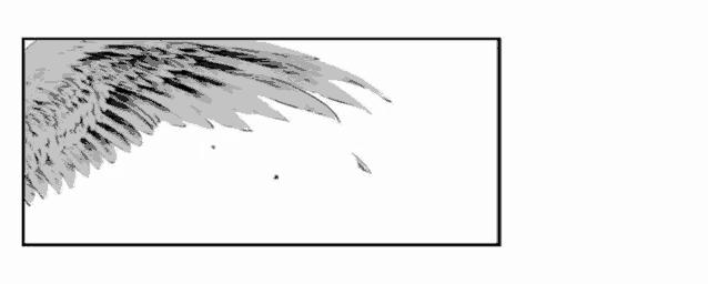 a black and white drawing of a bird 's wings on a white background