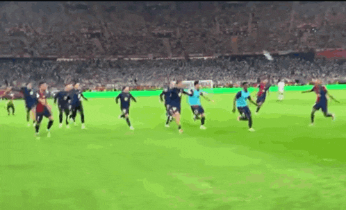 a group of soccer players are playing soccer on a field .