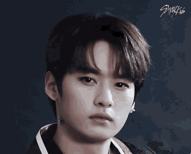a close up of a young man 's face with the word straykids written on the bottom
