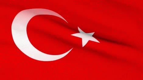 Tuel Turk GIF - Tuel Turk Flag GIFs
