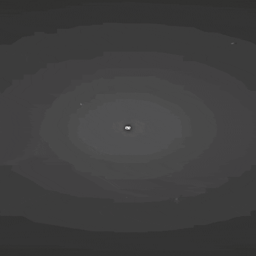a black and white drawing of a sun with a bird in it