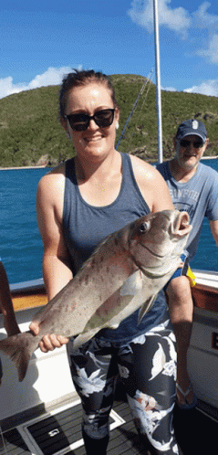 Whitehaven Hill Inlet Tours Reef Fishing Charters Airlie Beach GIF - Whitehaven Hill Inlet Tours Reef Fishing Charters Airlie Beach GIFs