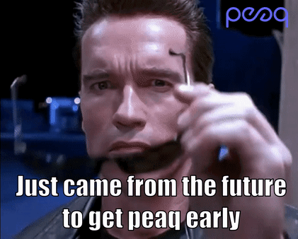 Peaq Peaq Army GIF - Peaq Peaq Army Peaq Family GIFs