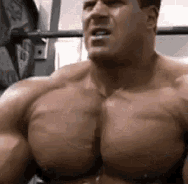 a man is lifting a barbell in a gym .