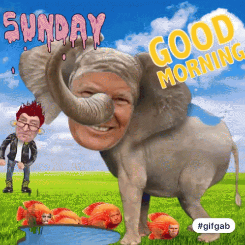 Good Morning Sunday GIF - Good Morning Sunday Yay GIFs
