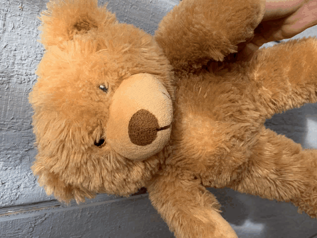 a person is holding a brown teddy bear with its arms outstretched