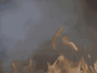 a cat wearing a witch 's hat is looking at a fire .