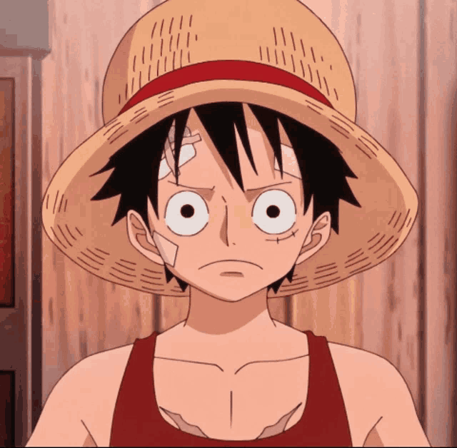 luffy from one piece has a bandage on his face