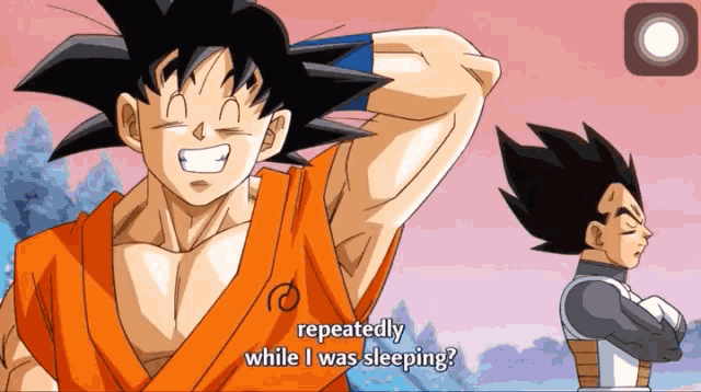 a cartoon of goku and vegeta with repeatedly while i was sleeping written below them