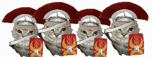 four cats wearing roman helmets and shields are lined up