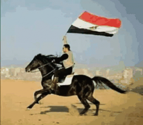 علممصر Flag GIF - علممصر Flag Horse Back GIFs