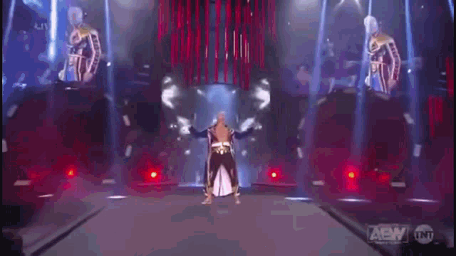 a wrestler is walking out of the ring during a wrestling match on a television screen .