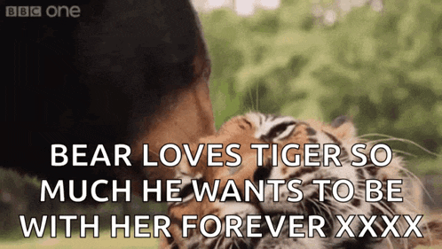 bear loves tiger so much that he wants to be with her forever xxx