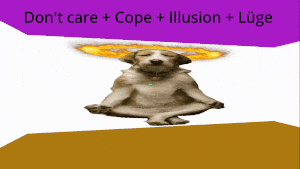 a picture of a dog sitting in a lotus position with the words do n't care cope illusion luge below