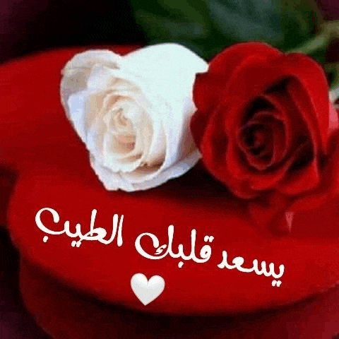 two red roses are sitting on top of a red heart .