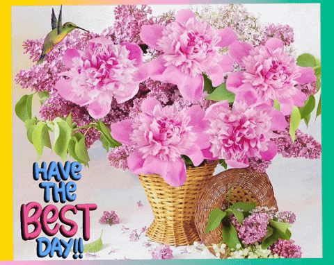 a bouquet of pink flowers with the words have the best day