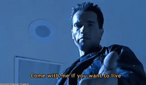 Terminator Come With Me If You Want To Live GIF - Terminator Come With Me If You Want To Live Take My Hand GIFs