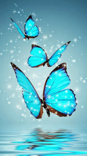 three blue butterflies are flying over water