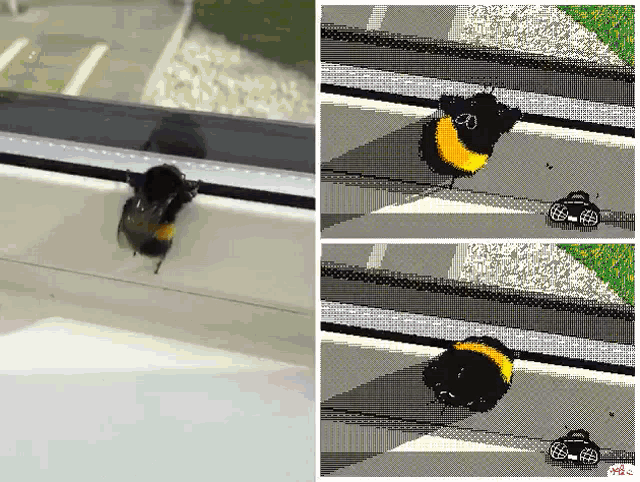Bees Big GIF - Bees Big GIFs