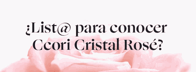 a close up of a pink rose with the words list @ para conocer ccori cristal rosé