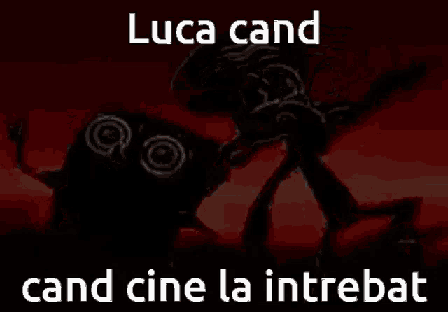 luca cand cand cine la intrebat is written in white letters on a black background .
