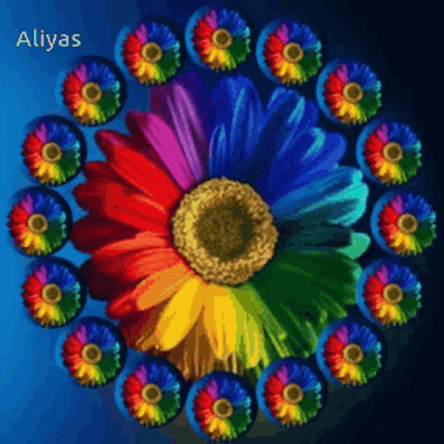 a painting of a rainbow colored flower with the name aliyas on the bottom