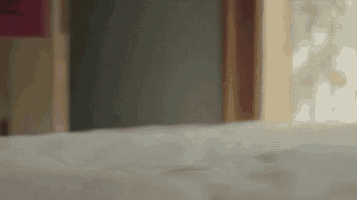a person is standing on a bed in front of a door .