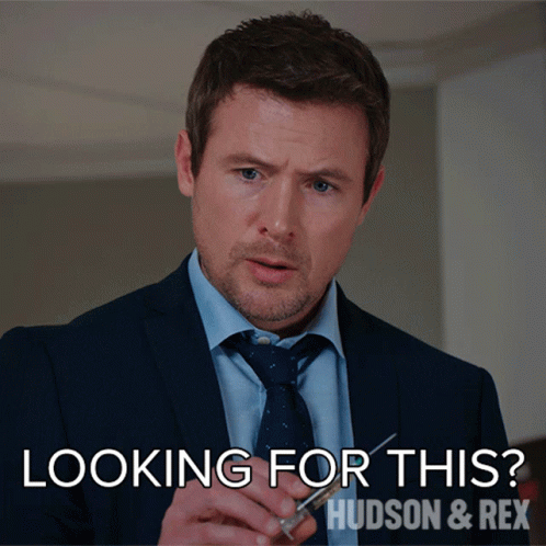 Looking For This Charlie Hudson GIF - Looking For This Charlie Hudson Hudson And Rex GIFs
