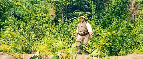 a man in a hat is standing on a rock in the jungle .